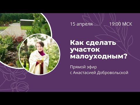 Видео: Как сделать участок малоуходным? Прямой эфир с Анастасией Добровольской