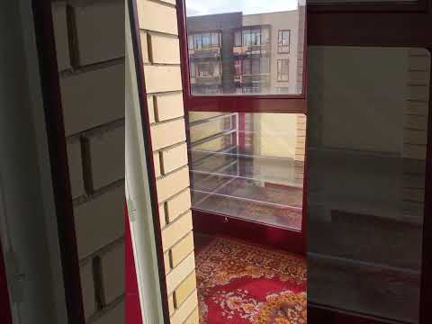 Видео: 2 октября 2025 г.