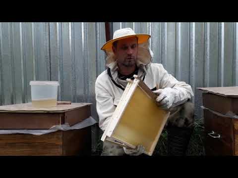 Видео: Как выбрать качественную вощину без примесей