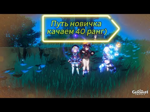 Видео: Путь новичка Genshin Impact качаем 40 ранг)