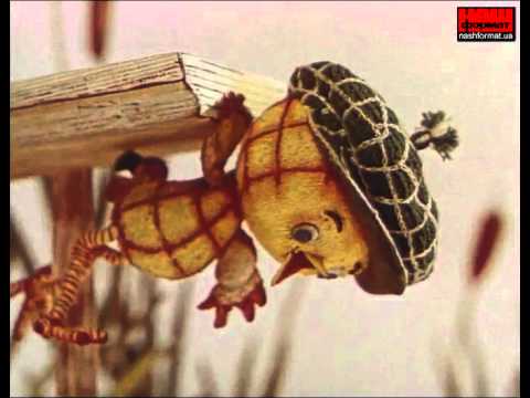 Видео: Курча в клітиночку