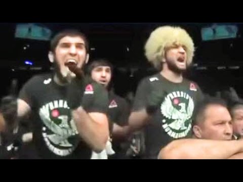 Видео: Реакция команд Конора и Хабиба во время боя