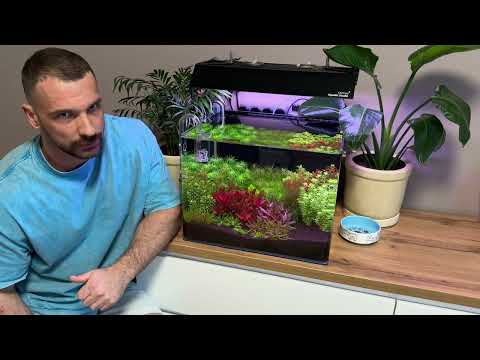 Видео: 04.11.2025. Dennerle 55l. 32 день с запуска.