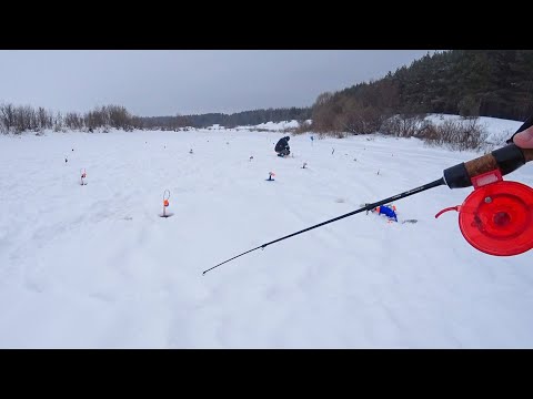 Видео: ОБЛОВИЛ ТОЛПУ ЖЕРЛИЧНИКОВ на балансир. Рыбалка на щуку зимой в 2023