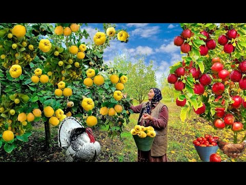 Видео: Осенний урожай: собираем яблоки и айву, варим повидло и печём пироги 🍏🥧