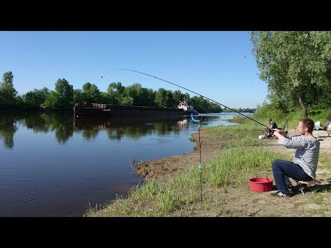 Видео: Рыбалка на Десне с ночевкой.И снова рыбацкое фиаско
