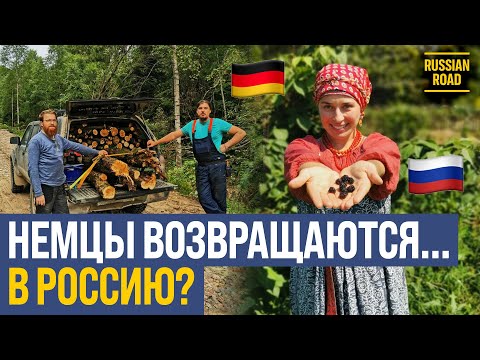 Видео: 🇩🇪 Зачем немцы восстанавливают заброшенную русскую деревню 🇷🇺
