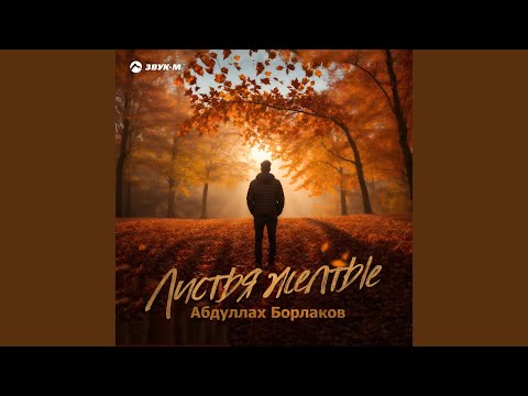 Видео: Лунный свет