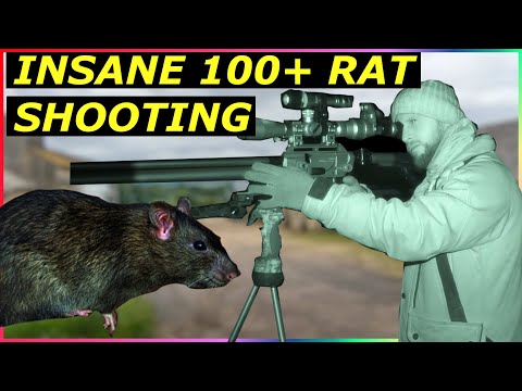 Видео: 100+ Farmyard Ratting — FX Dreamline FAC и AA S510 Sub 12