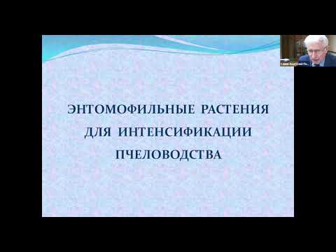 Видео: «Сезонные работы на пасеке» продолжение – полезный курс для пчеловодов - часть 2
