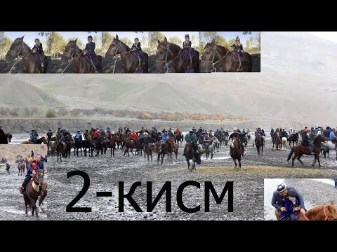Видео: Ак-Суу улок  туй 2-кисм. Гиёсжон,Илёсжон ва Шохобиддинларнинг фарзандларига атаган улоглик туйлари.