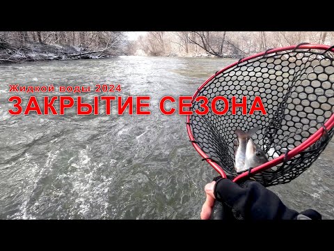 Видео: Закрытие сезона 2024. Рыбалка на горной реке Приморского края. #горнаярыбалка #хариус #ленок