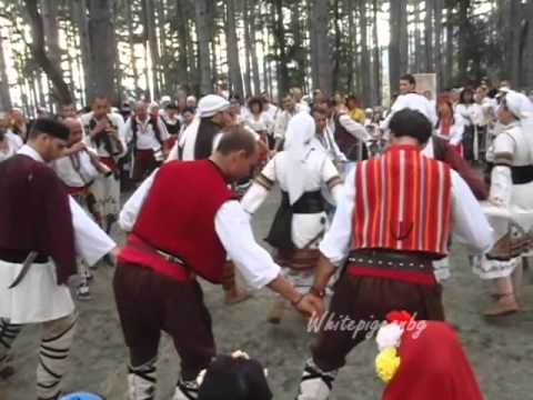 Видео: Жеравна 2013_1  - Гайда Аваси