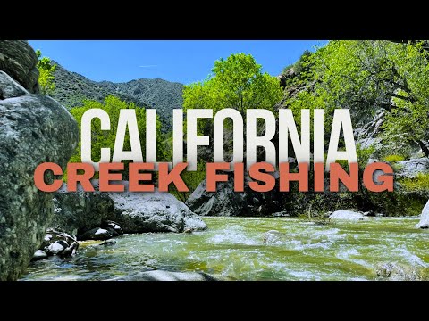 Видео: Рыбалка в ручье в горах Калифорнии!