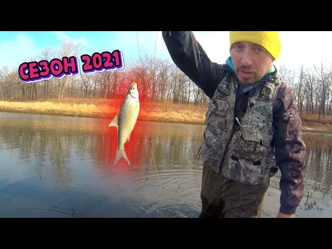 Видео: Первая рыбалка по открытой воде 2021! Нахлыст. Щука. Окунь. Жерех. Бель.