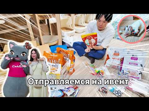 Видео: Кошачий ивент[Япония влог]