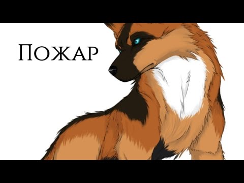 Видео: Хранители волков.Глава 3.Часть 2.