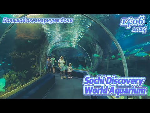 Видео: #сочи Большой океанариум в Сочи 🦈| День Рождения Евы🎁
