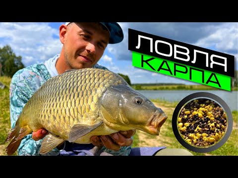 Видео: РЫБАЛКА НА ФИДЕР / КАК ПОЙМАТЬ МНОГО РЫБЫ / СЕКРЕТЫ ЛОВЛИ КАРПА / FROS FISHING