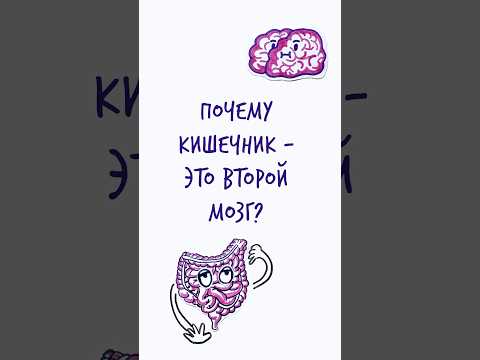 Видео: Почему КИШЕЧНИК — второй МОЗГ? — Научпок #шортс