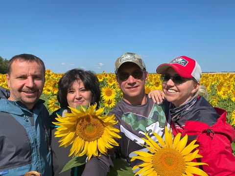 Видео: Квадро дальняк 2024.  1 серия