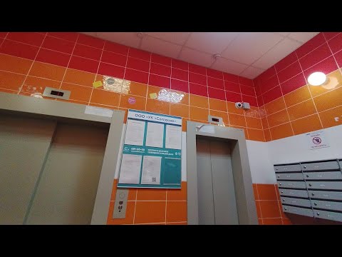 Видео: 🎵Музыкальные🎵 Лифты ЩЛЗ Ecomaks 2017 г.в. Q=400/1000kg, V=1,2m/s