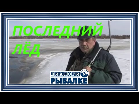 Видео: Диалоги о рыбалке -   100 / Последний лёд