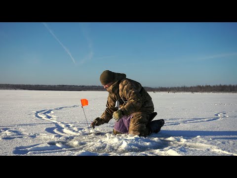 Видео: ПЕРВЫЙ ЛЕД 2020 В -25! / ЛОВИМ ЩУКУ В БОЛОТЕ! / ЗИМНЯЯ БЛЕСНА / ЗИМНЯЯ РЫБАЛКА С НОЧЕВКОЙ