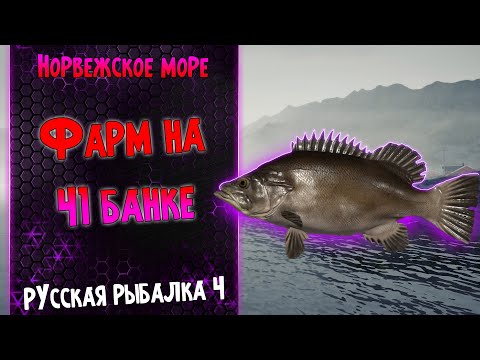 Видео: Фарм На Норвежском Море ● Окунь Каменный На 41 Банке ● Путь Универсала ● Русская Рыбалка 4 #5