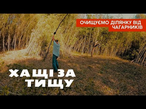 Видео: ВІГВАМ З ЧАГАРНИКІВ! Боротьба з непрохідними хащами. Випилюємо ліс на ділянці. ХАЩІ ЗА ТИЩУ.