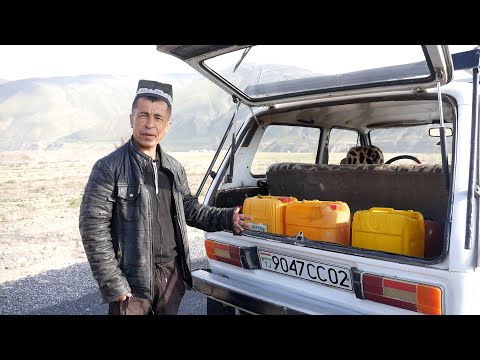 Видео: Киштзорҳои деҳқонони Панҷакент дар баҳор хазон шудаанд