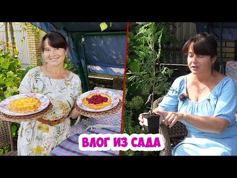 Видео: СУПЕР садовый ВЛОГ! Корневая шейка у туи. Первая тренировка Марты. Творожная галета с чаем!