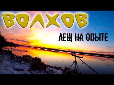 Видео: ЛЕЩ В НОЯБРЕ ! РЕКА ВОЛХОВ !