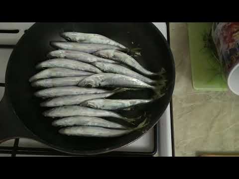 Видео: Геленджик Такой ШКАРЫ ИЗ ЧЕРНОМОРСКОЙ СТАВРИДЫ ВЫ ЕЩЕ НЕ ЕЛИ