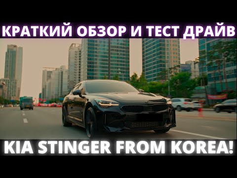 Видео: АВТО ИЗ КОРЕИ. ВЫКУПИЛИ KIA STINGER 2021 ДЛЯ КЛИЕНТА