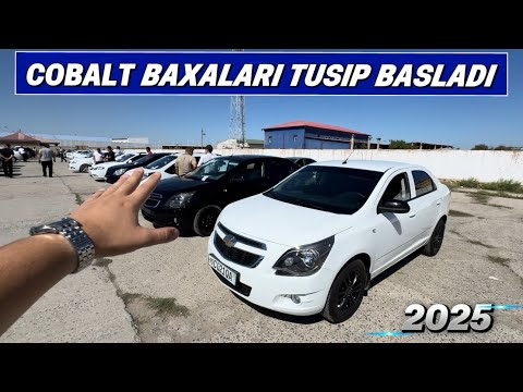 Видео: КОБАЛЬТ БАХАЛАРЫ ТУСИП БАСЛАДЫ 2025
