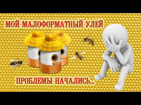 Видео: Мой малоформатный улей - проблемы начались...