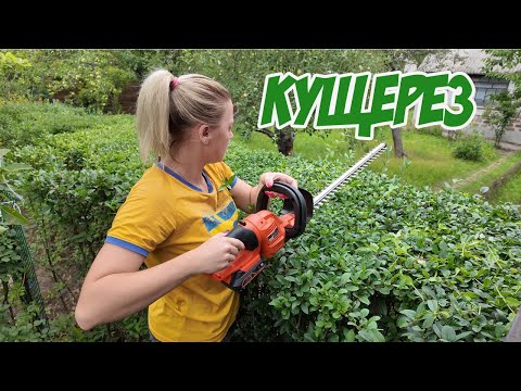 Видео: Отличная газонокосилка и офигенный кущерез 🙃