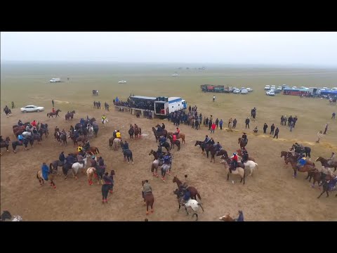 Видео: 21 11 2022 кокпар Әлімтау Абуов Ораз мырзаның бата алу көкпары