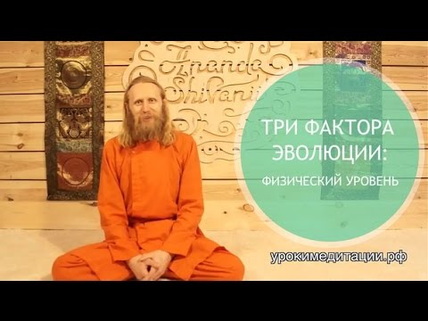 Видео: Три фактора эволюции: физический уровень.