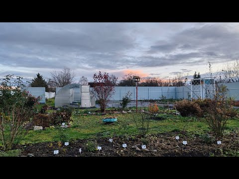 Видео: Повседневные дела🤗.Закопали провод.Деревенские будни🏡.Дела по саду