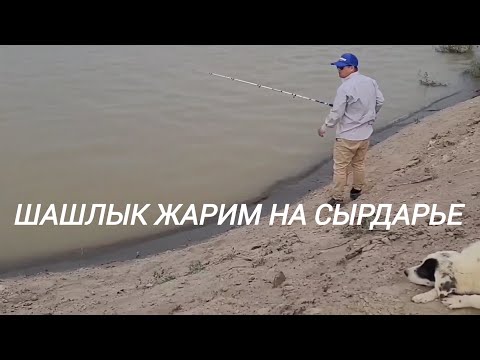 Видео: Жарим шашлык на Сырдарье.Вода увеличилась, клёва нет