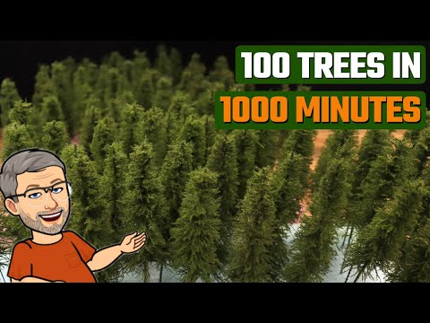 Видео: Полное руководство по созданию 100 модельных деревьев за выходные