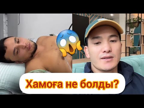 Видео: Таугүлдіктер неге бас қоспай кетті?