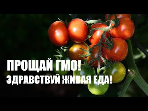 Видео: ЖИВАЯ ЕДА. ПРОЩАЙ ГМО!