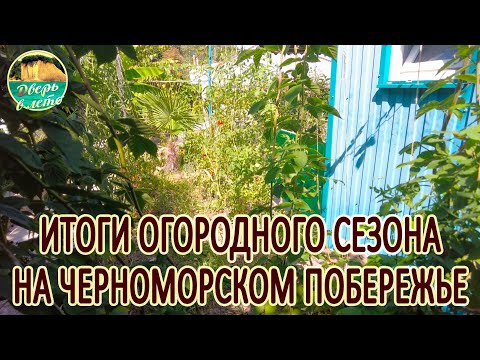 Видео: Огород на Черном море. Очередной опыт