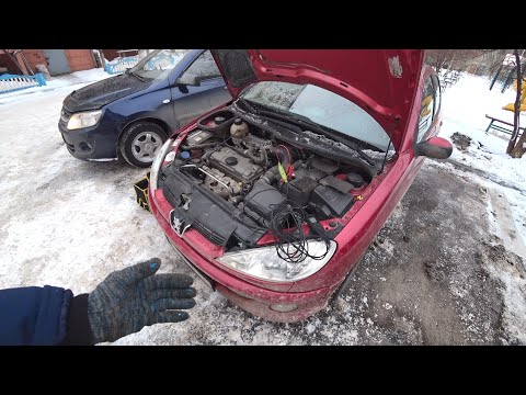 Видео: Хозяин упал в ступор от причины неисправности его Peugeot 206