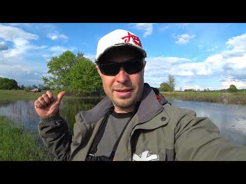 Видео: Судак Клюет у Самого Берега