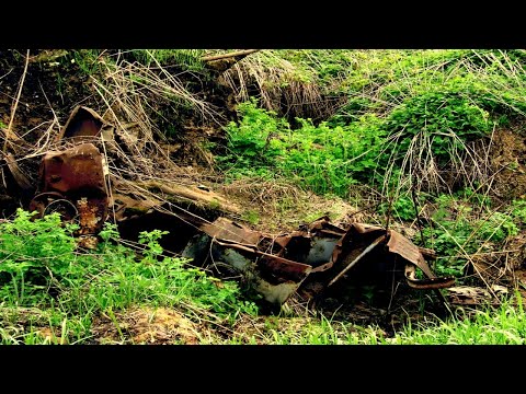 Видео: СОБИРАЛ МЕТАЛЛОЛОМ,НО ЭТО МЕСТО ОКРУЖИЛИ ЗМЕИ. металлокоп