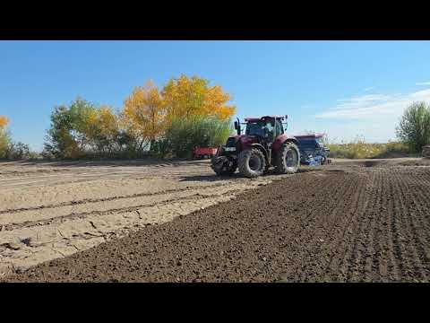 Видео: 27 октября 2025 г.